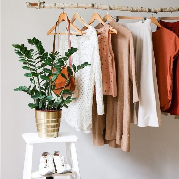 Meet your Posher, Griffyn - Picture 1 of 1